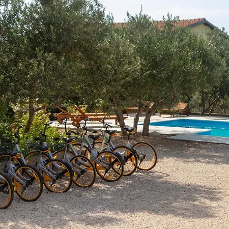 Olivia Apartmán Bibinje