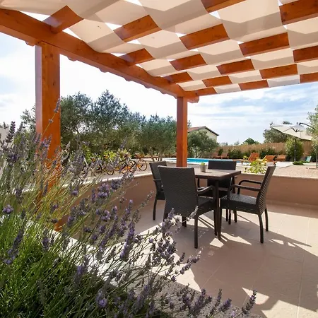 Daire Olivia Bibinje